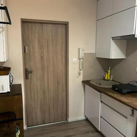 Nowoczesne Studio Z Ogrodem I Parkingiem Posen Exterior foto