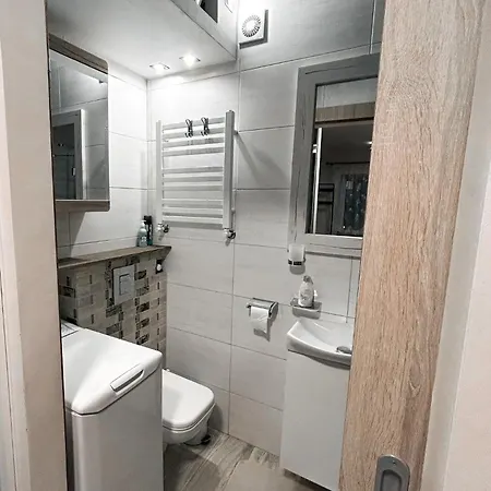 Nowoczesne Studio Z Ogrodem I Parkingiem Posen Exterior foto